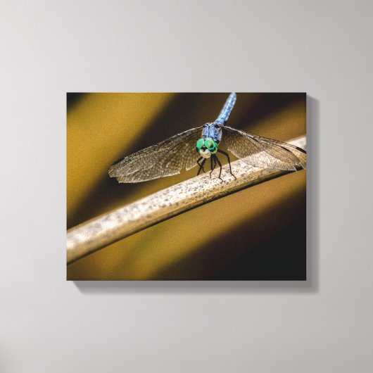 8379-2-Blueトンボ キャンバスプリント (正面)