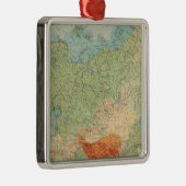 8485アジアの身体検査 メタルオーナメント (右)