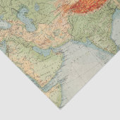 8485アジアの身体検査 薄葉紙 (詳細)