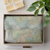 8485アジアの身体検査 薄葉紙 (ギフト)