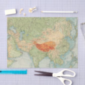 8485アジアの身体検査 薄葉紙 (クラフト)