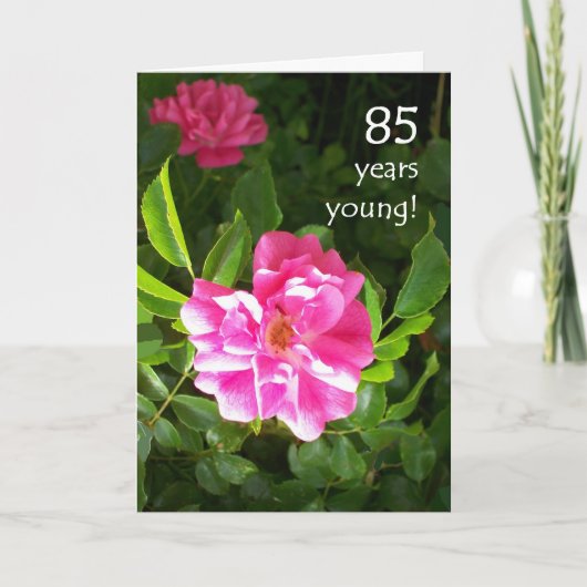 85歳の誕生日カード - ピンクのバラ カード (正面)