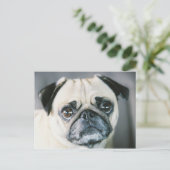 850203-R1-017-7 ポストカード (スタンド正面)