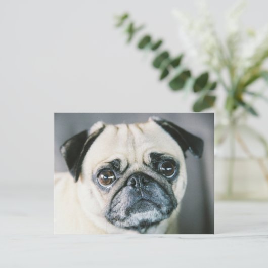 850203-R1-017-7 ポストカード (スタンド正面)