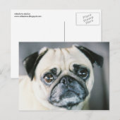 850203-R1-017-7 ポストカード (正面/裏面)