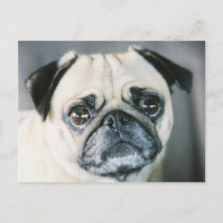 850203-R1-017-7 ポストカード