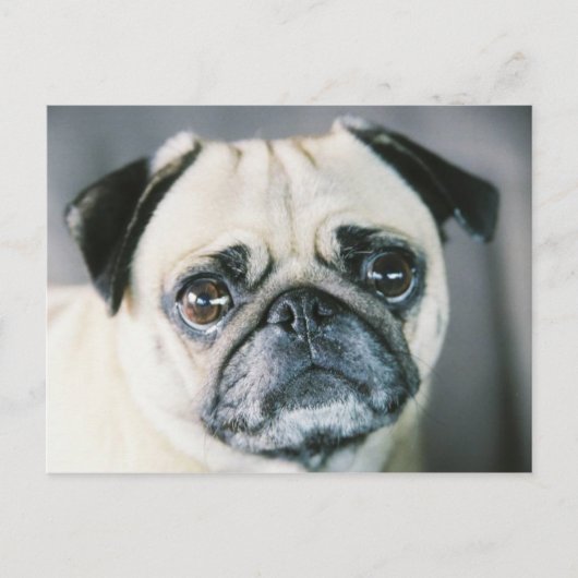 850203-R1-017-7 ポストカード (正面)