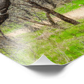 8602-歩くパス付き樹木 フォトプリント            (角)