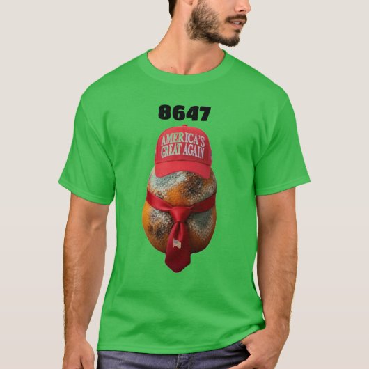 8647 ベーシックTシャツ Tシャツ (正面)