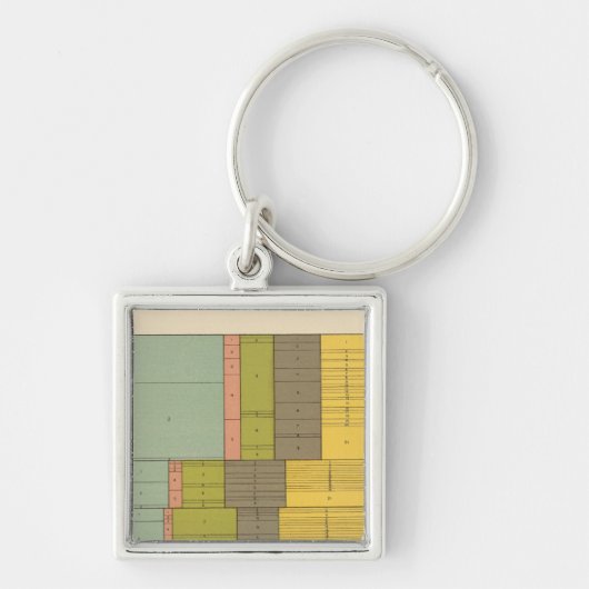 87人種別職業、1900年出生 キーホルダー (正面)