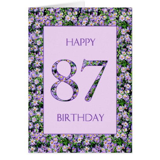87誕生日紫デイジー (正面)