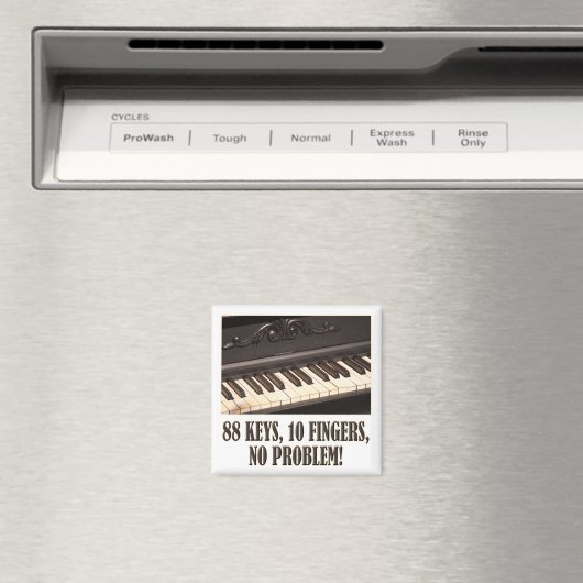 88鍵、10指、問題なし！ マグネット (インサイチュ (食洗機))