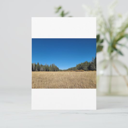 89% $7.75 招待状 (スタンド正面)