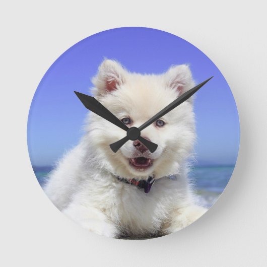 8"アクリル製の大時計の私の犬の写真 ラウンド壁時計 (正面)