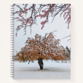 8.5x11ノートブック ノートブック