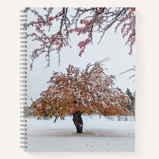 8.5x11ノートブック ノートブック (正面)