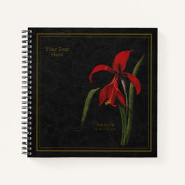 8,5x8,5" Amaryllis or Lis de St Jacques Blac Black ノートブック