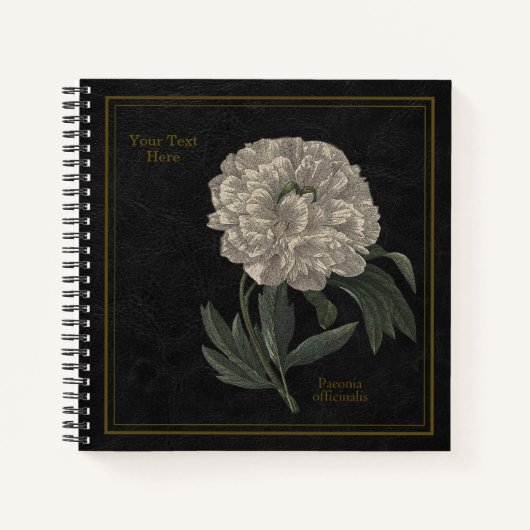 8,5x8,5" Paeonia Officinalis Black ノートブック (正面)