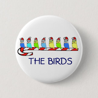 8 Budgies 缶バッジ