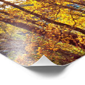 8 by 10 my view フォトプリント            (角)