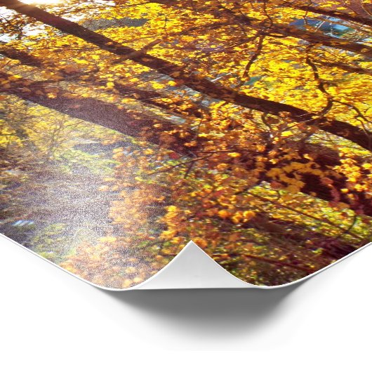 8 by 10 my view フォトプリント            (角)