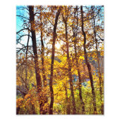 8 by 10 my view フォトプリント            (正面)