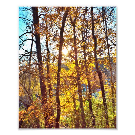 8 by 10 my view フォトプリント            (正面)