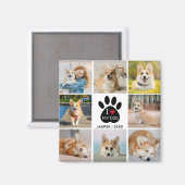 8 Photo Collage I Love My Dog Paw Print マグネット (正面/裏面)