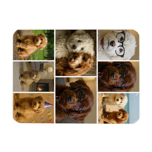 8 Photo Collage Personalized Custom マグネット (横)