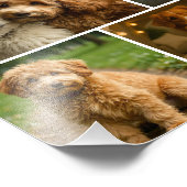 8 Photo Custom Personalized Template Collage フォトプリント (角)