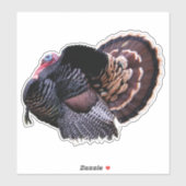 8"x8"ワイルドトルコ シール (シート)