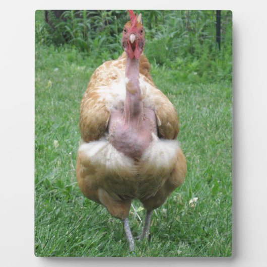 8"x 10"ターケン・ヘンのプラーク フォトプラーク (正面)