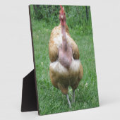 8"x 10"ターケン・ヘンのプラーク フォトプラーク (側面)