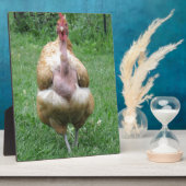 8"x 10"ターケン・ヘンのプラーク フォトプラーク (側面)