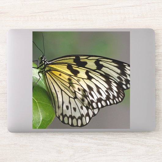 8" x 8"の大きなカスタムビニールシール シール (コンピューター)