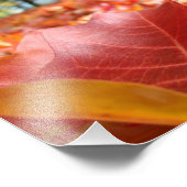 8x10アートプリント 自然写真 紅葉 フォトプリント            (角)
