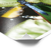 8x10トンボ(青い体と影) フォトプリント            (角)