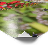 8X10ハミングバード愛好家の喜び フォトプリント            (角)