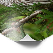 8X10バーレッドフクロウ フォトプリント (角)