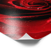 8x10フォトプリント フォトプリント            (角)