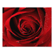 8x10フォトプリント