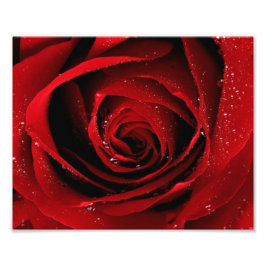 8x10フォトプリント フォトプリント           