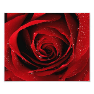 8x10フォトプリント フォトプリント           