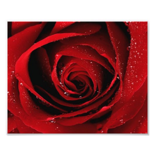 8x10フォトプリント フォトプリント            (正面)