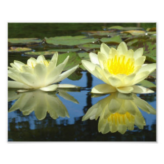 8x10メローイエロー フォトプリント           