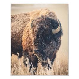 8x10 Print - Frosty Morning フォトプリント