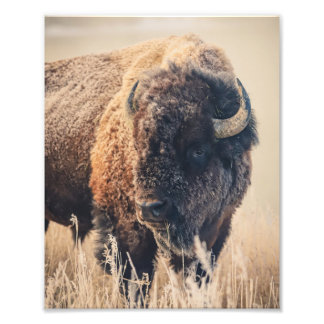 8x10 Print - Frosty Morning フォトプリント