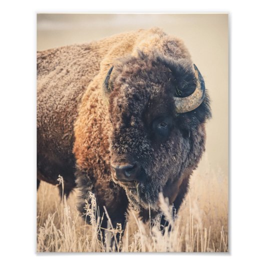 8x10 Print - Frosty Morning フォトプリント (正面)