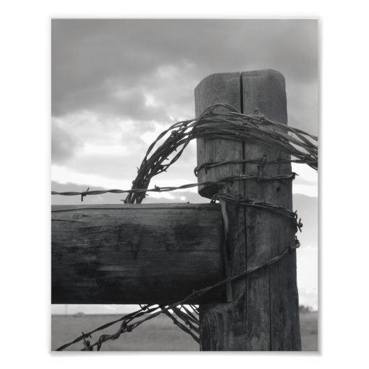 8x10 Print - Wood & the Wire フォトプリント (正面)
