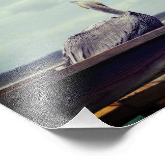 8x12写真 – "Chillin' Pelican" St. Augustine, FL フォトプリント